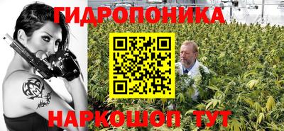 крисы Краснокаменск